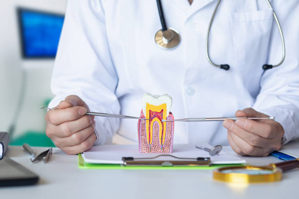 Best Emergency Dental Care for Broken or Chipped Teeth in Eddystone, PA